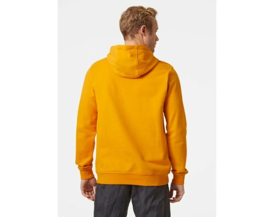 Helly Hansen HH Logo Hoodie Erkek Sweatshirt