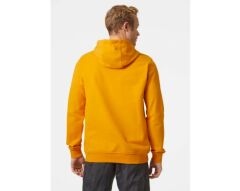 Helly Hansen HH Logo Hoodie Erkek Sweatshirt