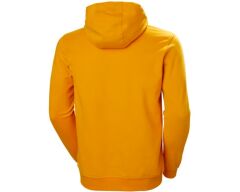 Helly Hansen HH Logo Hoodie Erkek Sweatshirt